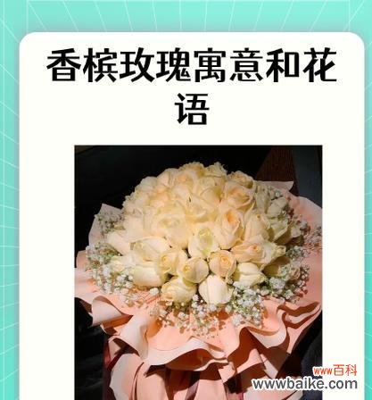 雪花玫瑰的花语有哪些好听的?