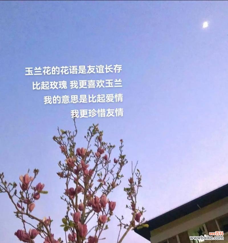 如何用花语评论朋友?哪种花代表友情的评论?