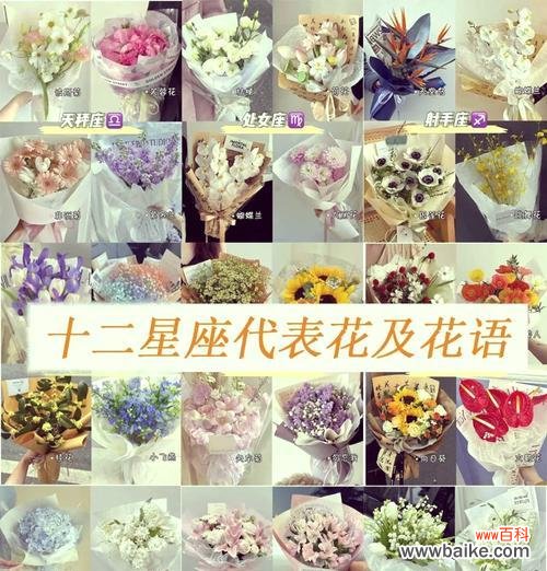 长大花语玫瑰指的是哪种花?花语有何含义?