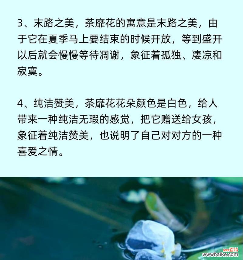 有生花的花语具体是什么?