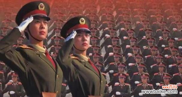 军中姐妹花语代表了什么?