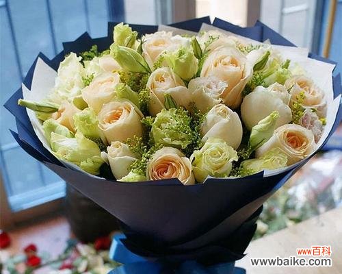 泡泡糖花语代表什么?