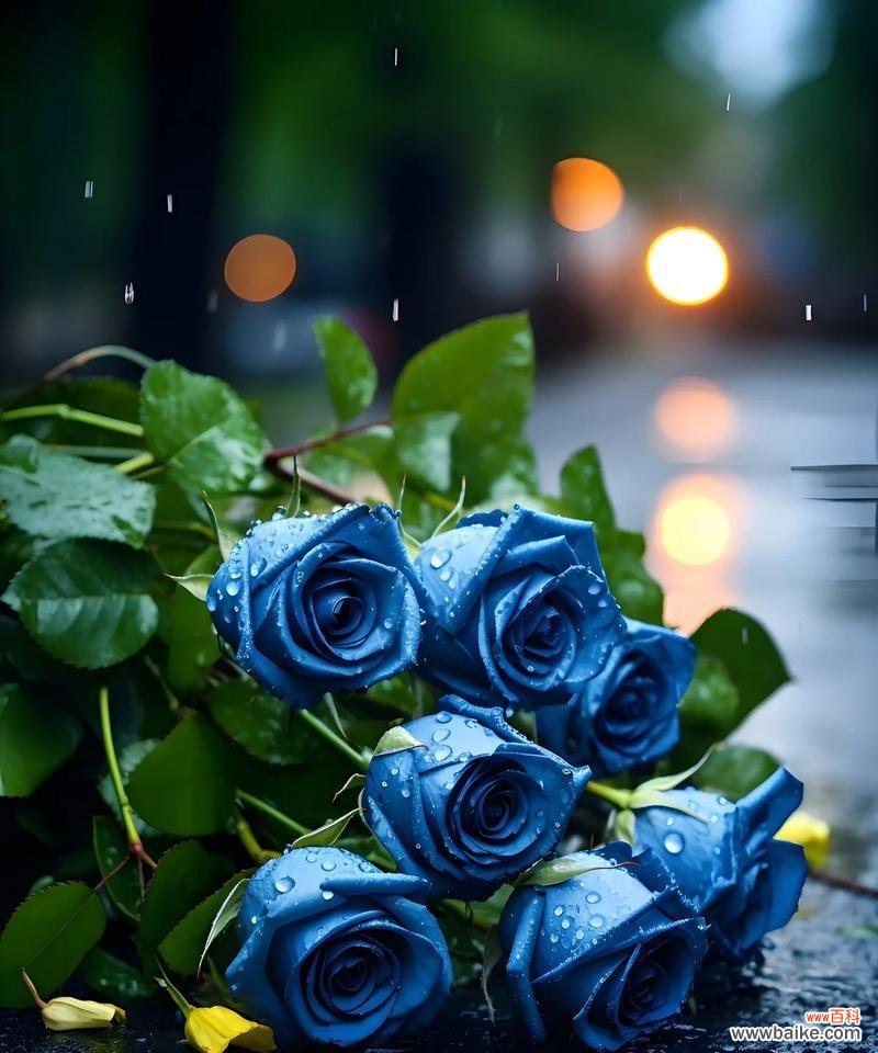 热门花语为何受点赞?点赞量高的花语有何特点?