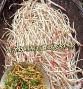 折耳根在中国的花语是什么？折耳根有哪些文化含义？