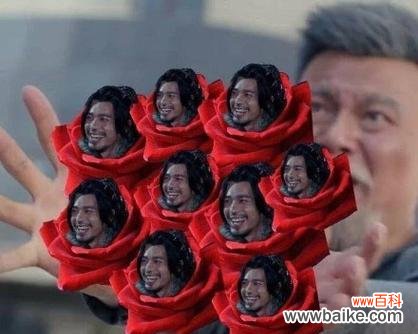 女生发玫瑰花为表情代表什么?网络表情中玫瑰花的含义是什么?