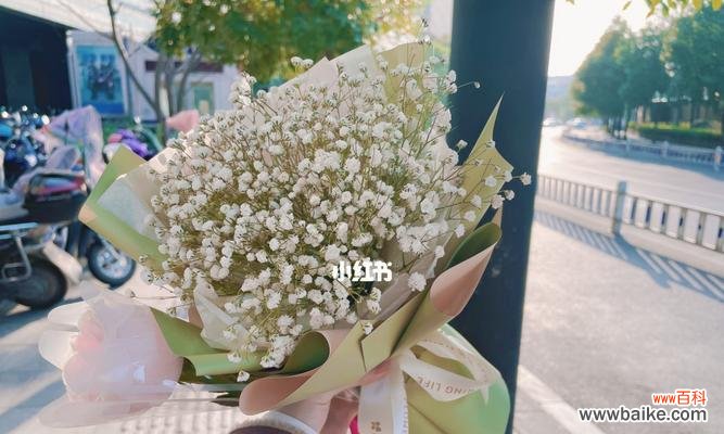 寄托真情,点缀生活 满天星,花语盛开的幸福