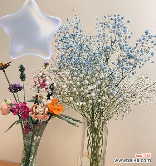 绽放爱的满天星激扬美丽情感 满天星