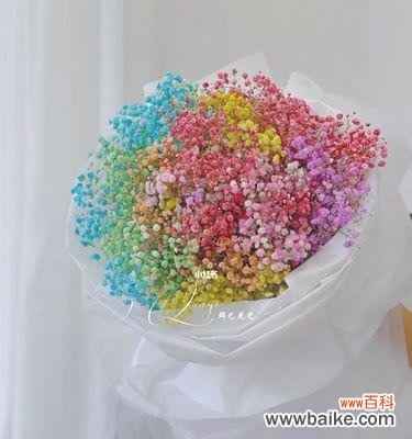 传递永恒的爱意，如满天繁星般闪耀 满天星——爱情的象征