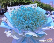 星辰点亮希望，满天星花语传递幸福 满天星花语与寓意