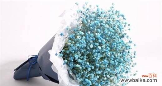 满天星花语的传达与内涵,以及满天星的象征意义 满天星的花语与象征意义——美好与纯洁的代表