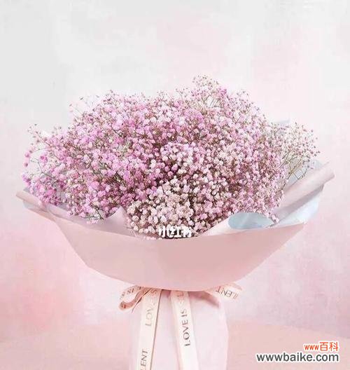 用满天星诉说爱情的美丽故事 满天星的浪漫花语