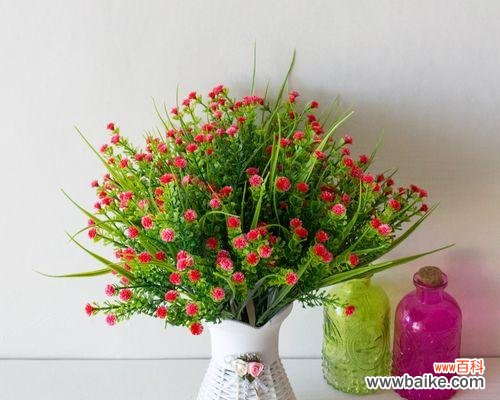 探寻满天星花的神秘意义与美丽象征 满天星花的含义与象征