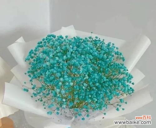 探寻满天星花的神秘意义与美丽象征 满天星花的含义与象征