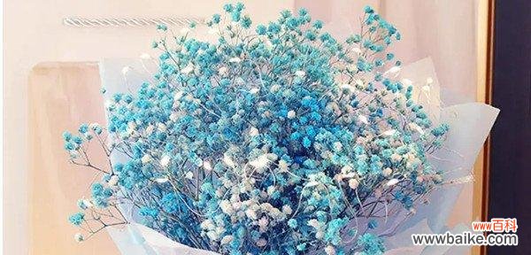 探索满天星的浪漫与神秘 满天星花语的深刻含义与象征