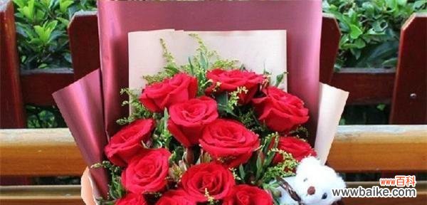 一朵玫瑰花的浪漫与深情 玫瑰花的意义与象征