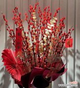 揭秘银柳的意义与象征 银柳的花语及其寓意