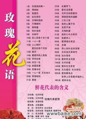 顺墙爬的玫瑰是什么花语?它代表了什么含义?