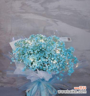 星光璀璨绚丽多彩 满天星之美——寓意与诠释