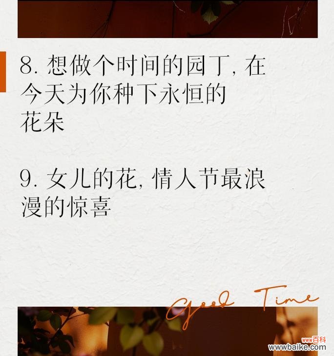 完美的爱的花语是什么?如何用花语表达?