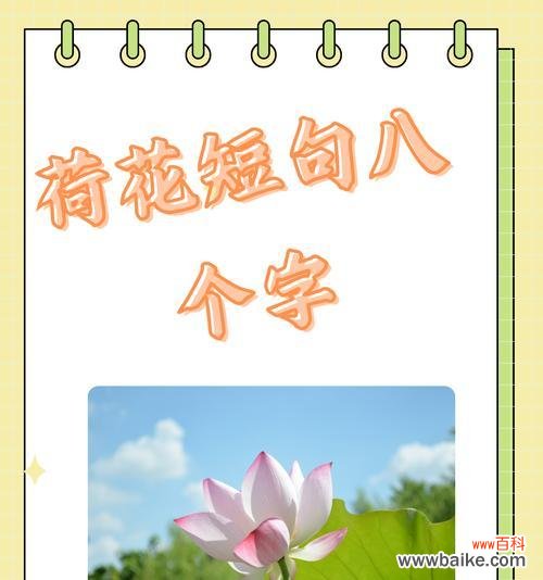 荷花的花语和寓意有何不同？