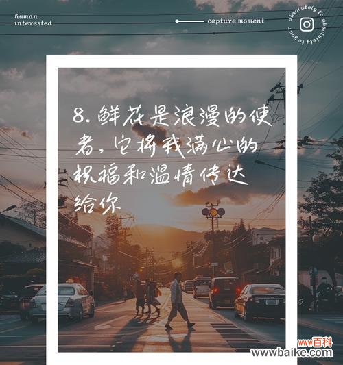 送什么花给曾经最爱的人?花语中表达了怎样的情感?