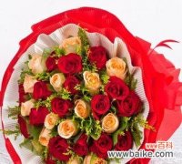 公主圣诞快乐花语有何特别含义？