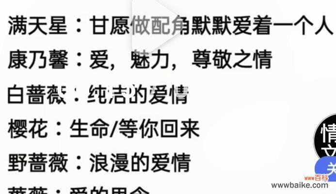 哪种花的花语表达了默默的爱?