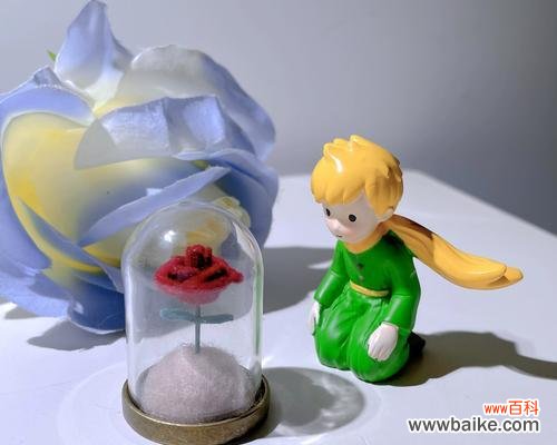 姜小王子玫瑰的花语代表什么?