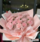 女神康乃馨粉色花语是什么？粉色康乃馨的特别含义是什么？