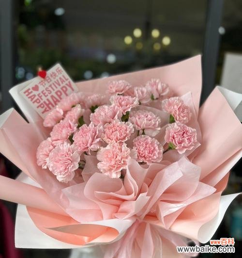 女神康乃馨粉色花语是什么？粉色康乃馨的特别含义是什么？