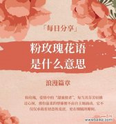 花语中提到的花蕊具体指代什么？