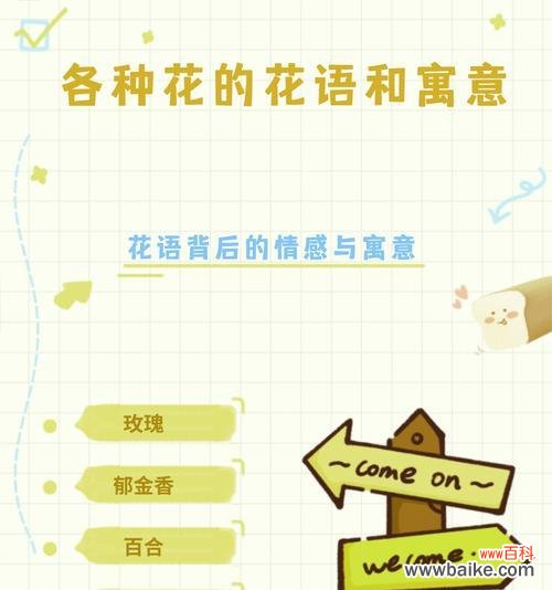 花语中颜色的花代表什么？开什么颜色的花才能表达特定情感？