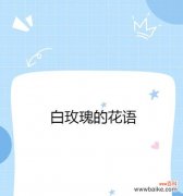 花语代表什么含义？如何表达个人情感？