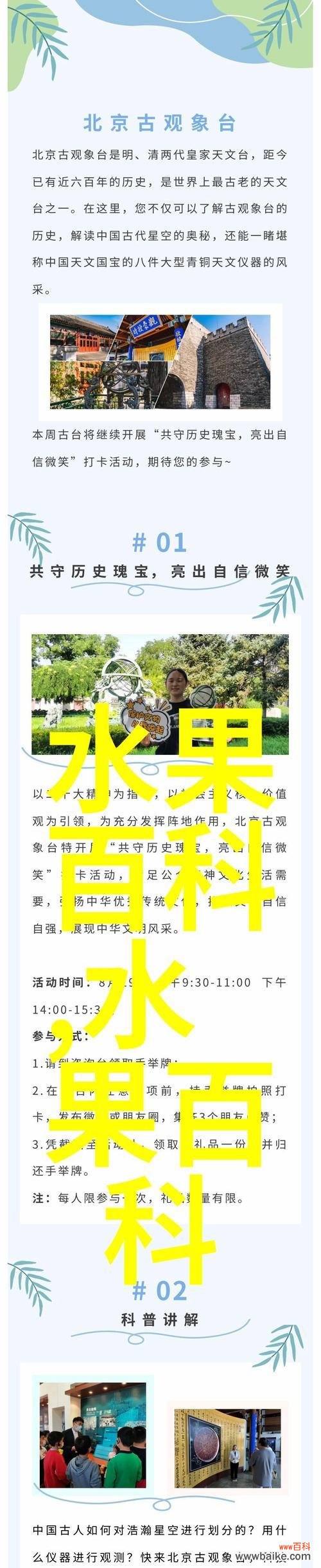 花语代表什么含义?如何表达个人情感?