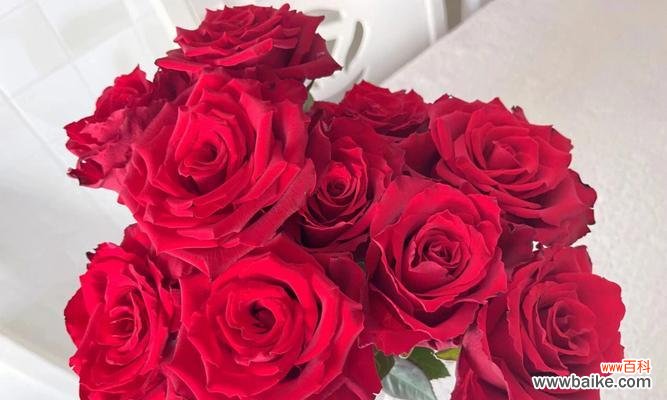 探寻三朵玫瑰背后的深意 三朵玫瑰的含义及象征解读
