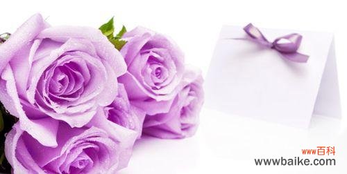 以玫瑰的花语,表达爱与情感 玫瑰花语之美——爱的传递