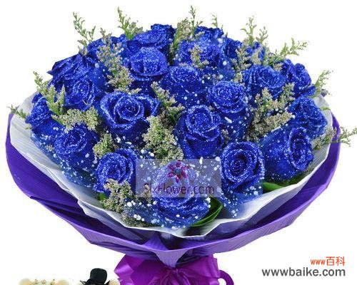 探寻玫瑰花的深层含义 玫瑰花19朵的花语