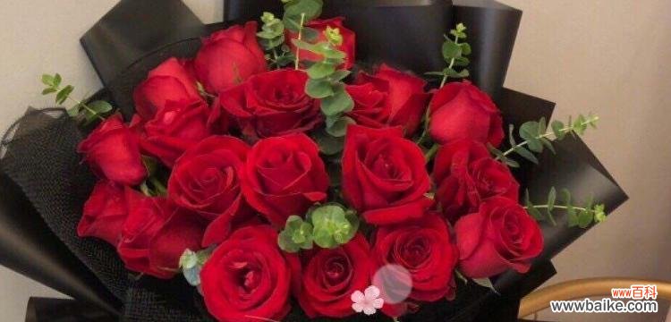 探寻玫瑰花的深层含义 玫瑰花19朵的花语