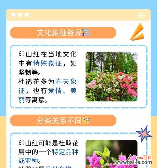 杜鹃花的双重花语代表什么？如何理解杜鹃花的双重含义？