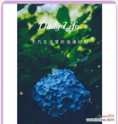 哪种花的花语象征背叛？