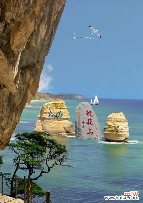 桃花岛的花语象征着哪种花？