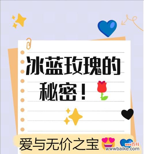 蓝紫色丝带玫瑰花语是什么？