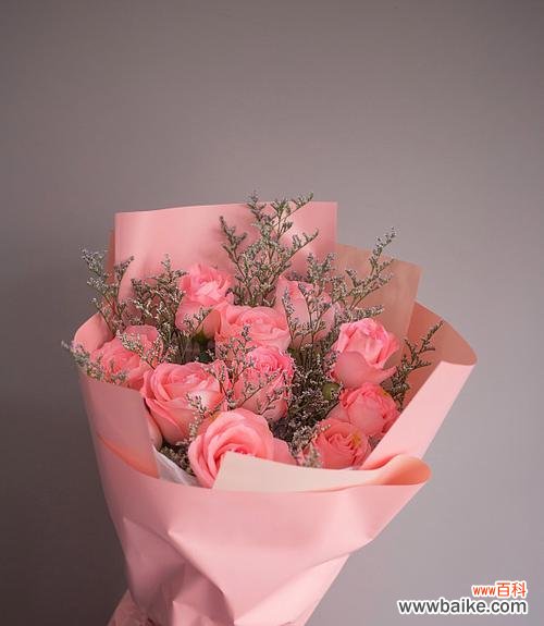 粉红色玫瑰花对女生有何意义?