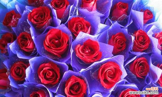 花开是一种心灵的繁华 玫瑰花的深刻寓意