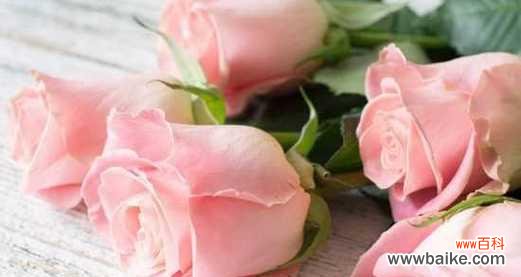 表达深深的爱意,朝思暮想的告白 19朵玫瑰花的花语