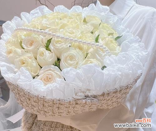 奶龙白玫瑰的花语有何特别之处?它象征着什么?