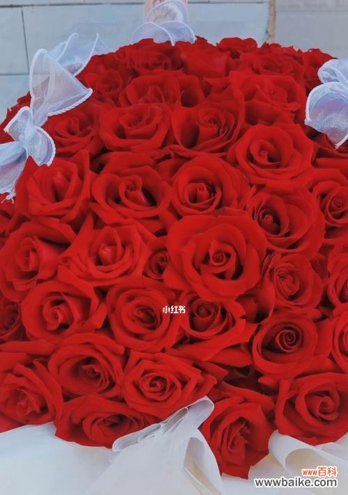 以几朵玫瑰花传递的情感和寓意 玫瑰花的意义及象征