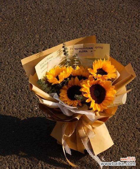 神马花象征友谊的花语有哪些?