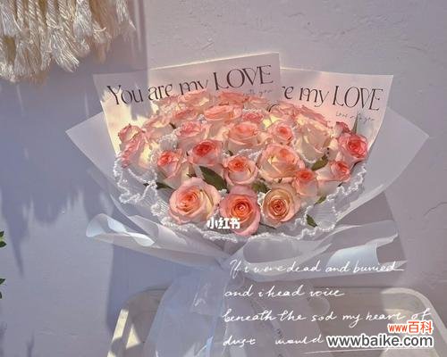 送爱丽丝玫瑰花的寓意是什么？爱丽丝玫瑰花的寓意有哪些含义？