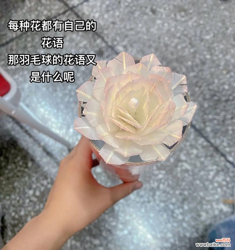 永生花和鲜花的花语区别是什么？